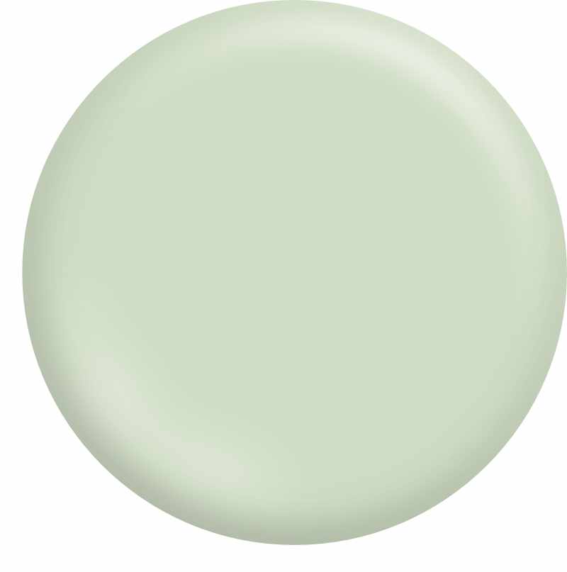 Pale Moss Green T15 81.2 Paint Colour - Taubmans Paint